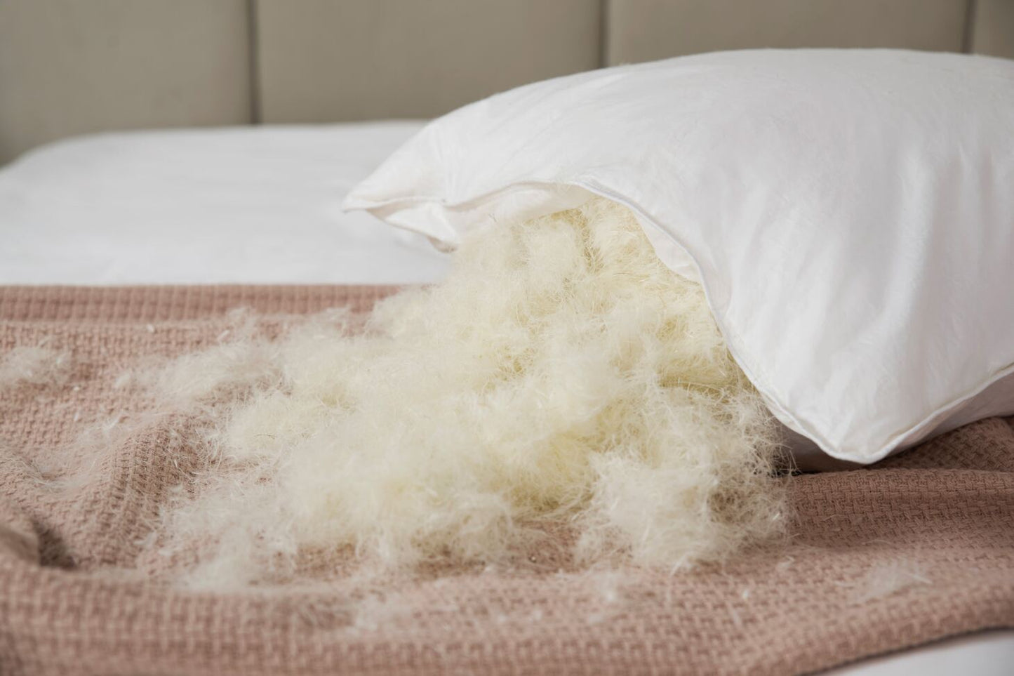 Special Buy Luxury 100 % Duck Feather Pillow Pair BACK IN STOCK !