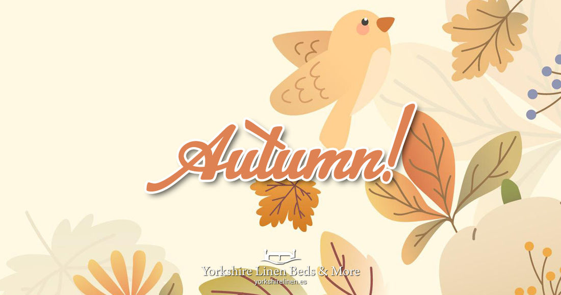 Autumn at Yorkshire Linen Beds & More OG04