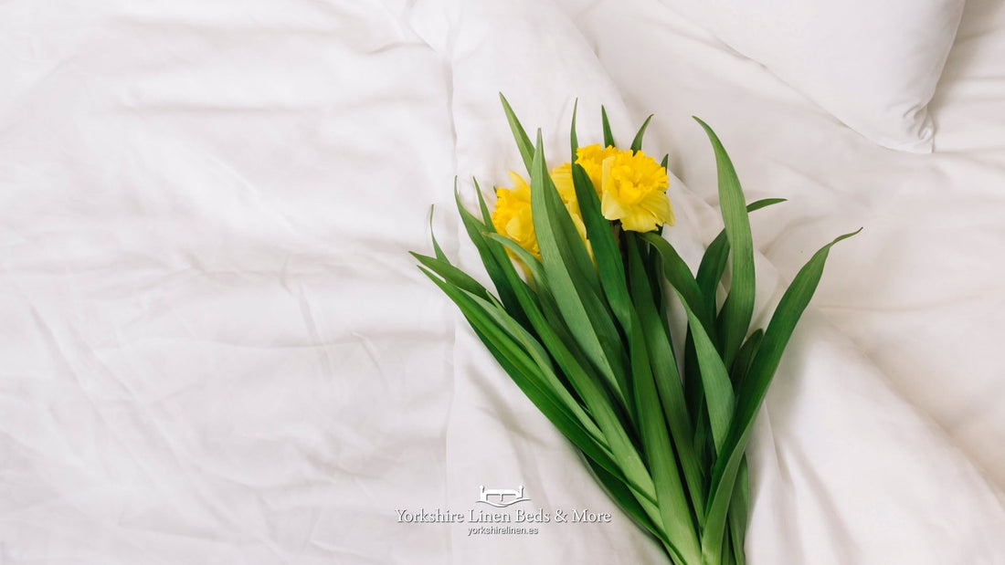 Simple White Cotton Bed Linen - Why It Works, and Where to Buy It in Spain