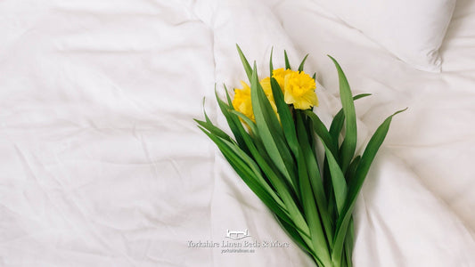 Simple White Cotton Bed Linen - Why It Works, and Where to Buy It in Spain