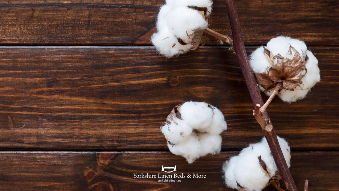 What is Brushed Cotton, and Why is it the Perfect Bedding Choice for Autumn and Winter in Spain - Yorkshire Linen Beds & More, Mijas, Spain