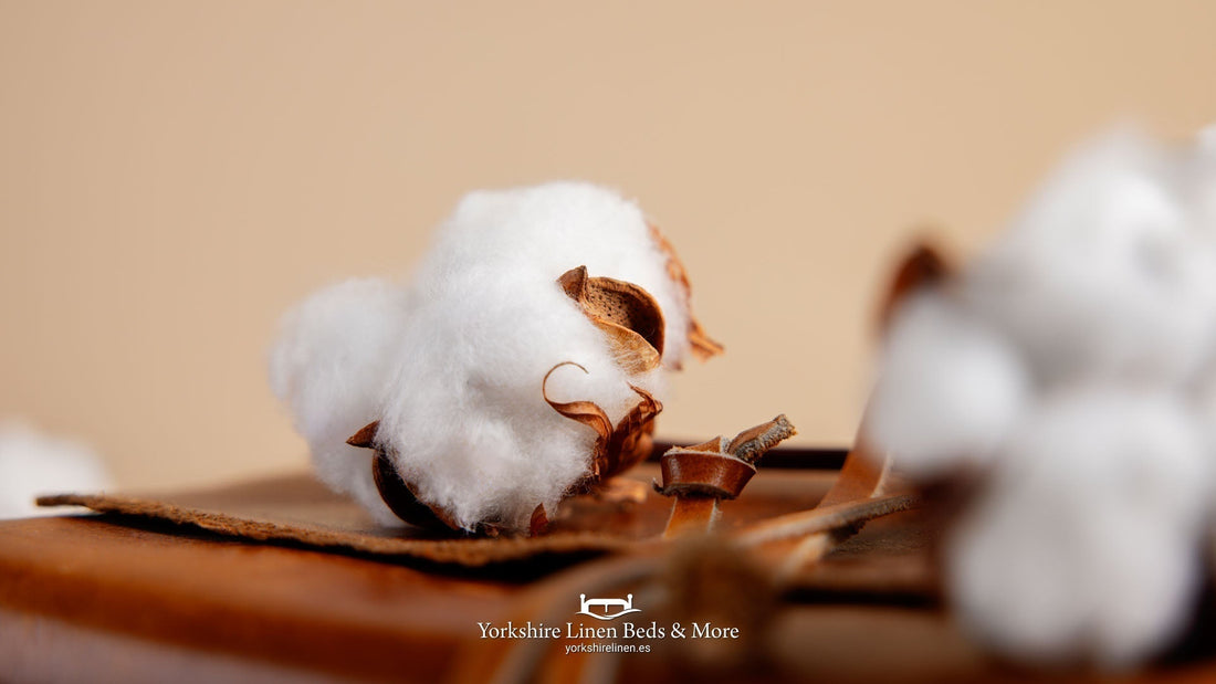 What is the difference between Egyptian cotton and percale for hot climates?