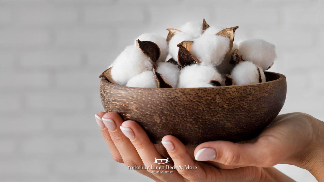 What is the difference between Egyptian cotton and regular cotton?