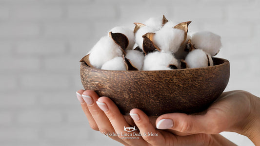 What is the difference between Egyptian cotton and regular cotton?