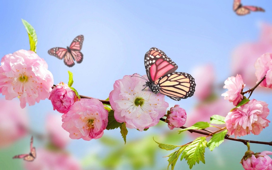 Spring