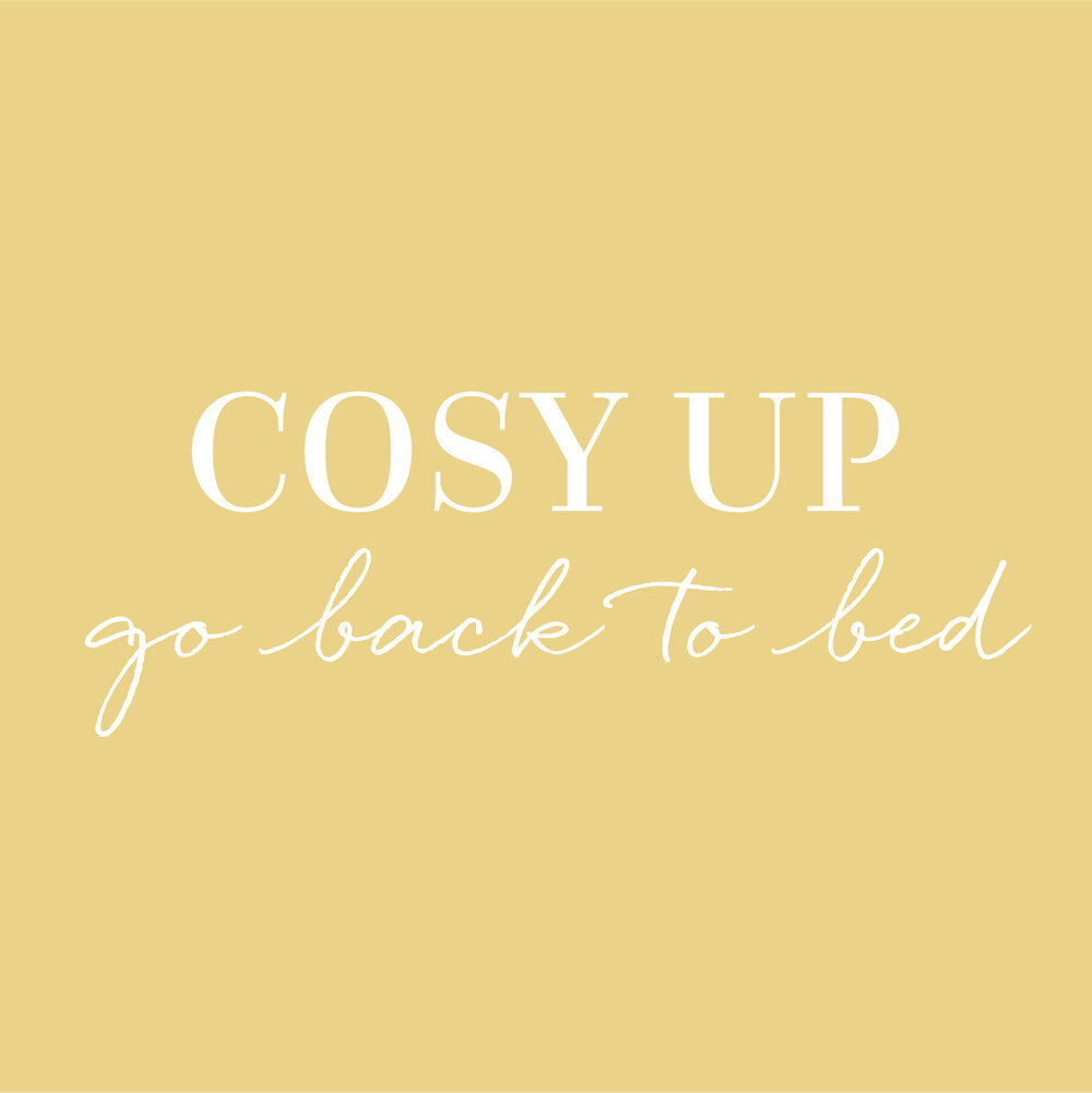 Cosy Up 100% Cotton Flannelette Sheet Sets, White